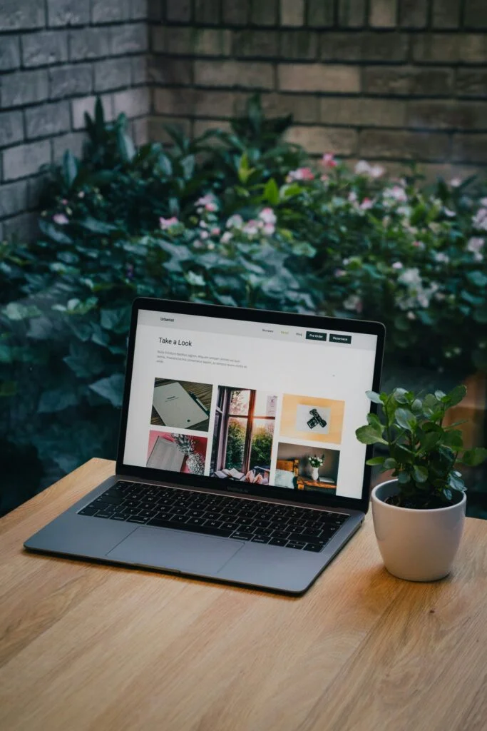 Pink Gorilla Web Design Company team serving Pico Rivera