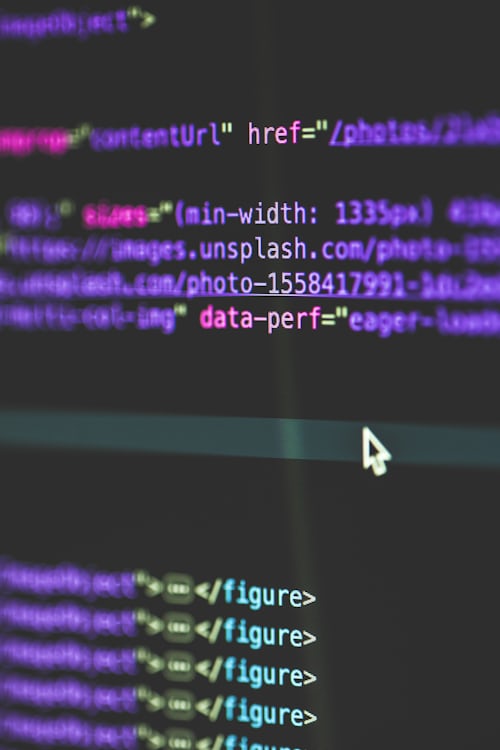 Pink Gorilla Web Development Company team serving Carson