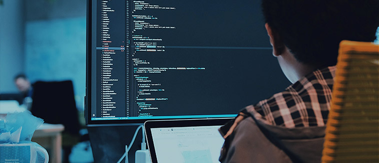 Web Development Company process in Vernon by Pink Gorilla